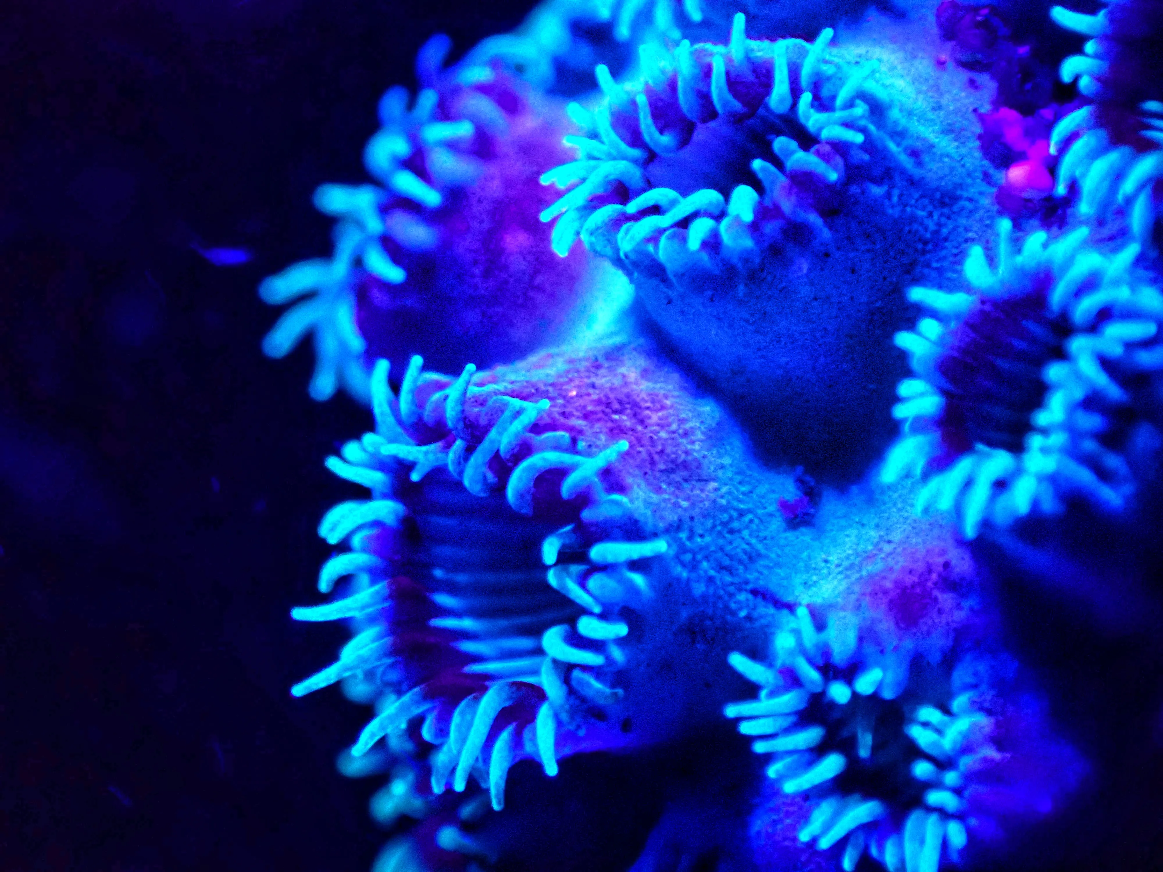 Hawaiʻi Experiences